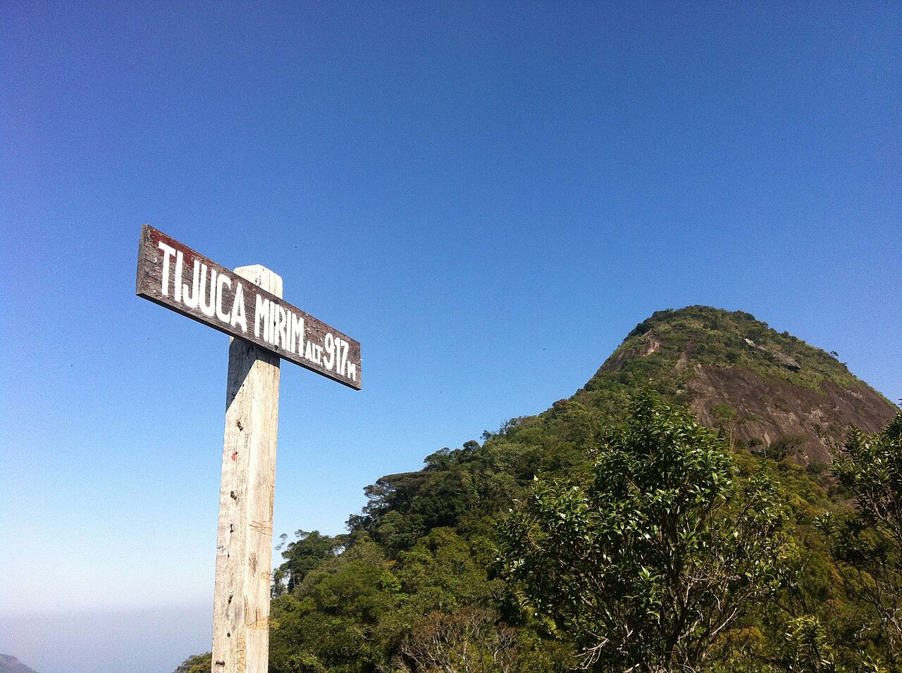 Pico da Tijuca