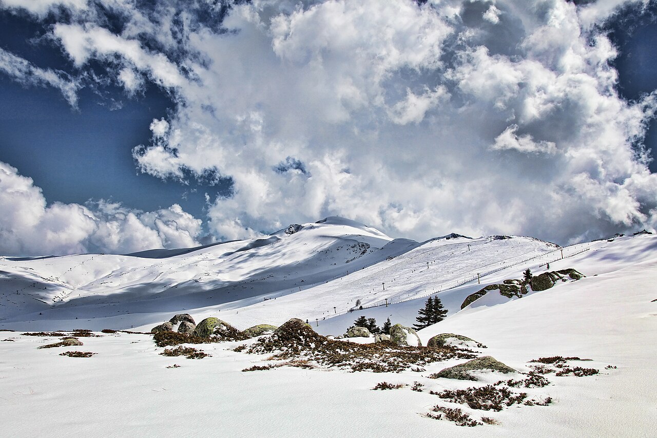 Bursa