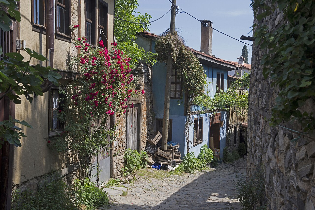 Bursa