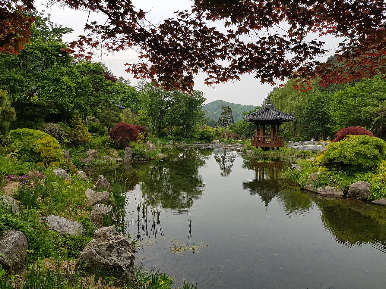Garden of Morning Calm