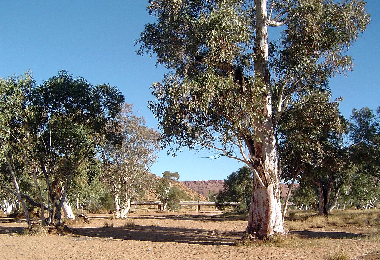 Todd River Dry Bed