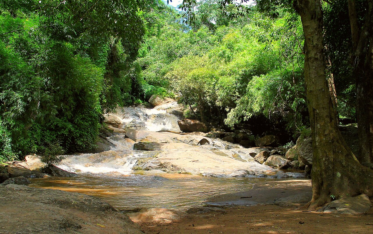 Doi Suthep-Pui National Park
